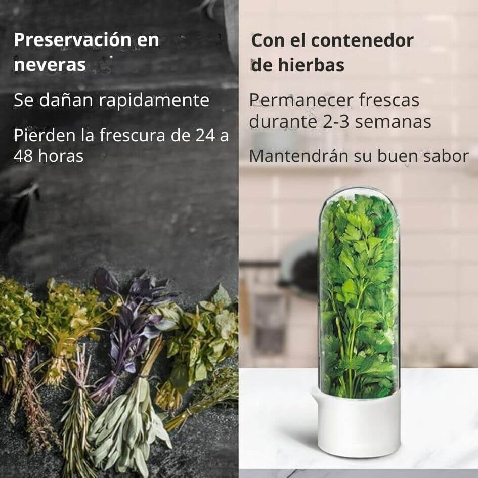 CONSERVADOR DE HIERBAS