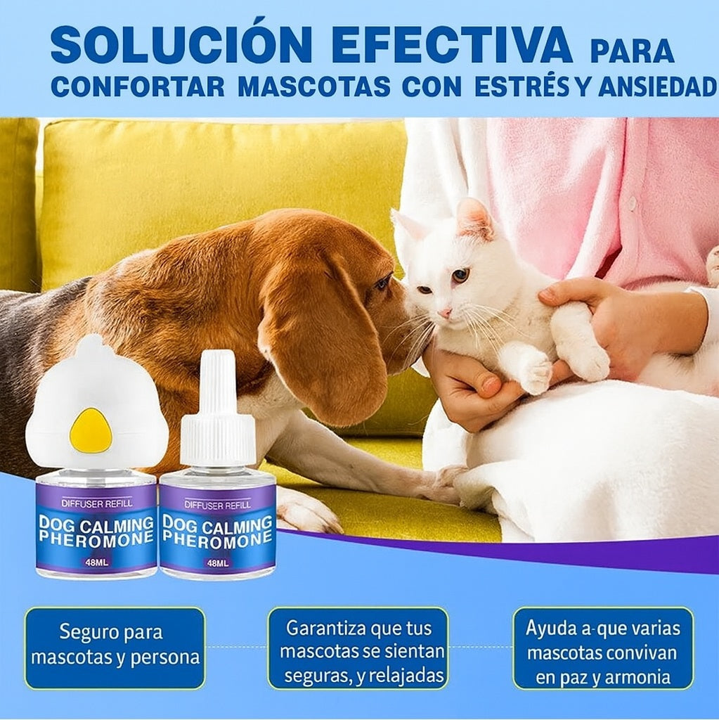 Petwellness: tranquilidad para tu peludo y tu casa