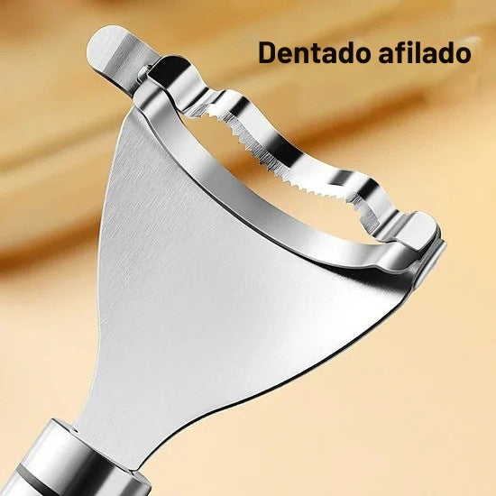 Encabezado