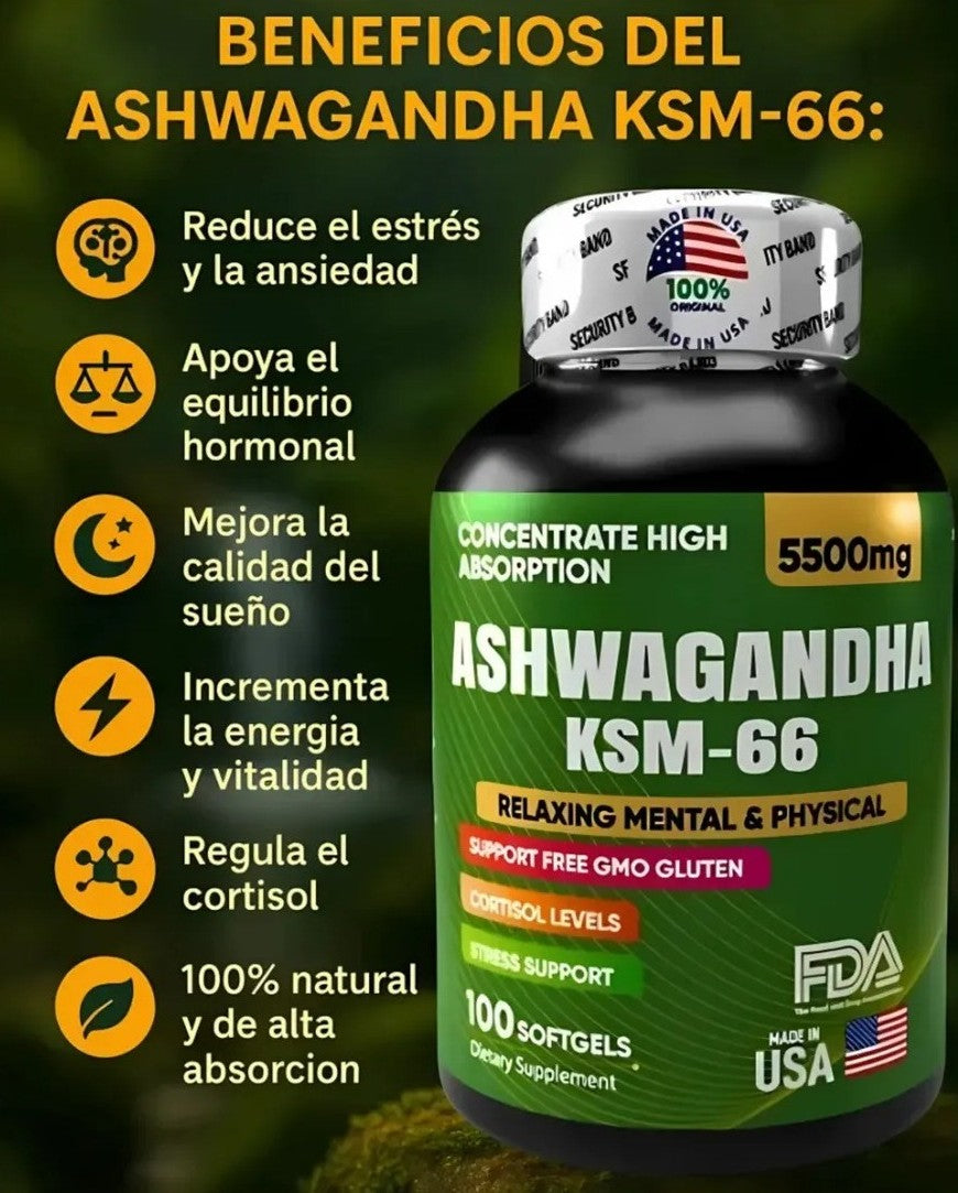 Encabezado