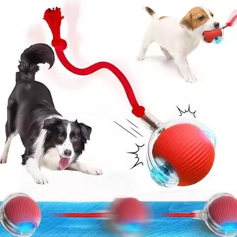 Pelota Interactiva 360°- Para mascotas