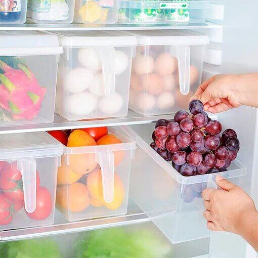 FreshBox - Organizador para Nevera con Tapa Hermética