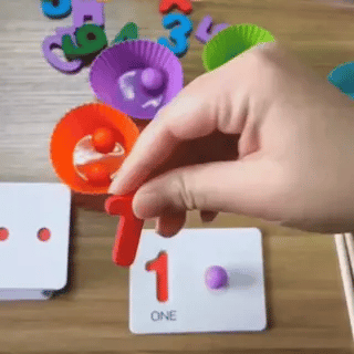 Set Montessori de Bolas Educativas
