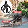 Arnes para gatos