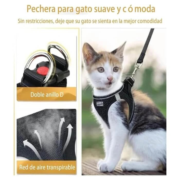 Arnes para gatos