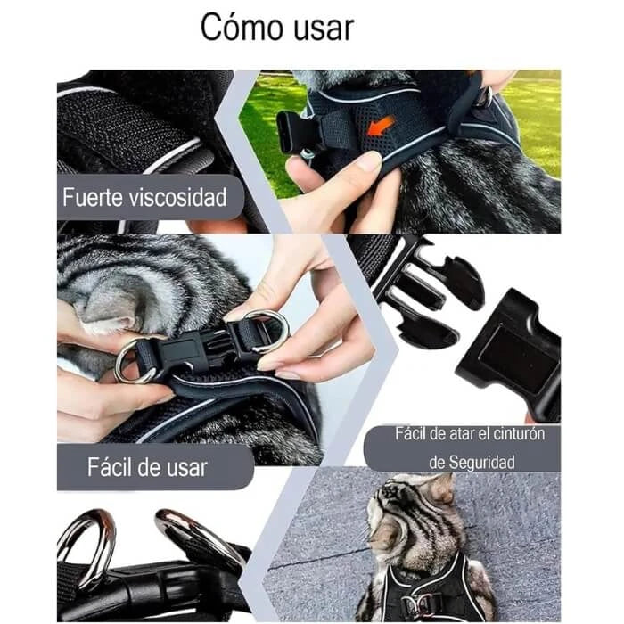 Arnes para gatos