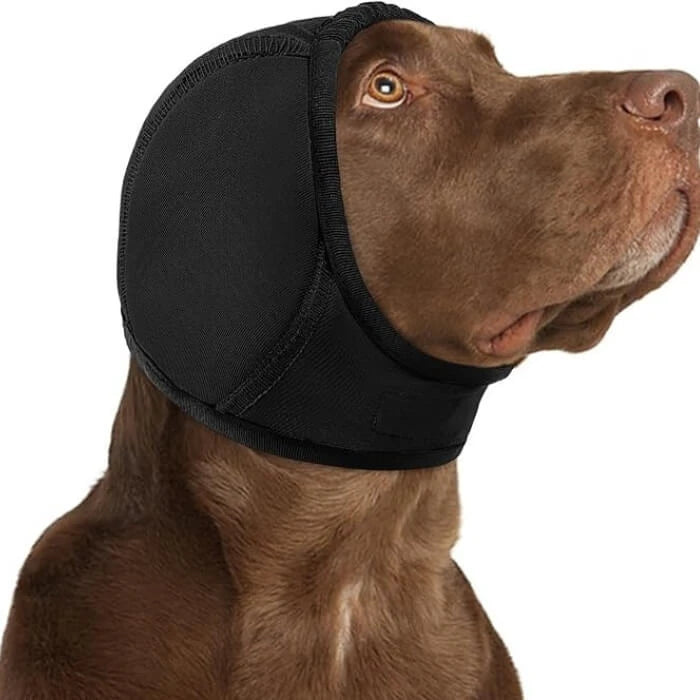 Protector auditivo para perro