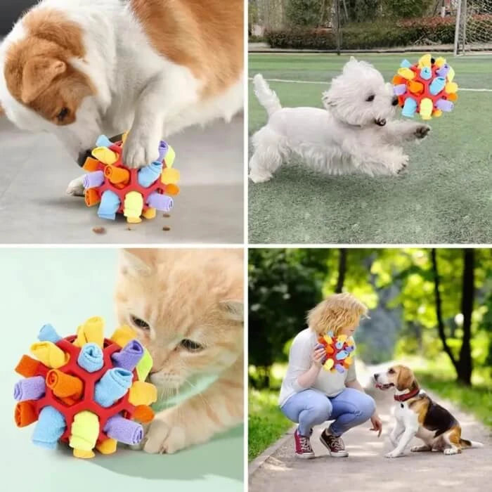 SnuffleMaster Pelota Olfativa