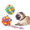 SnuffleMaster Pelota Olfativa