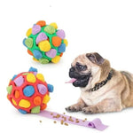 SnuffleMaster Pelota Olfativa