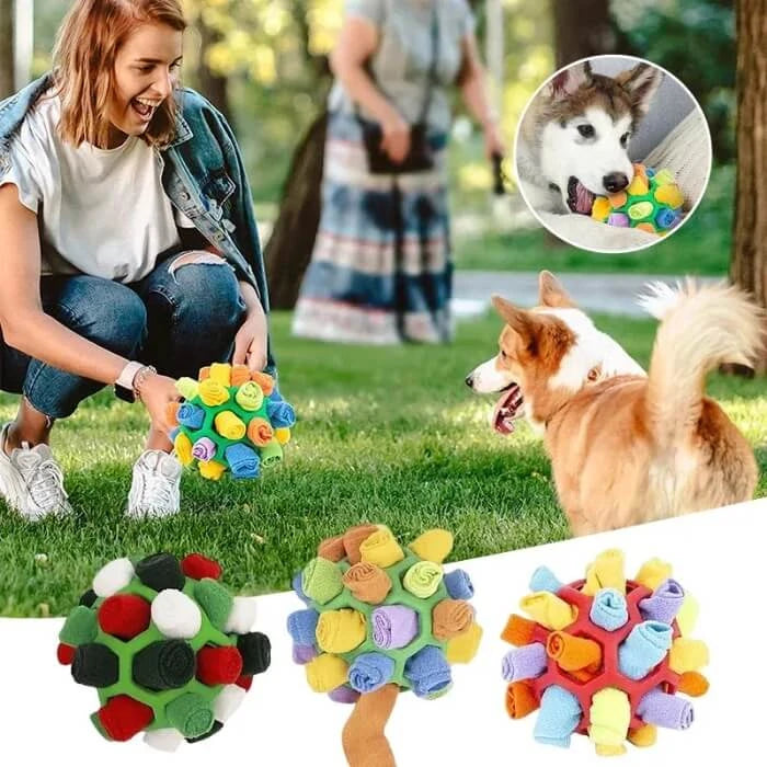 SnuffleMaster Pelota Olfativa
