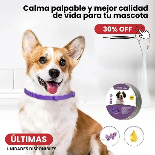 Collar calmante para mascotas