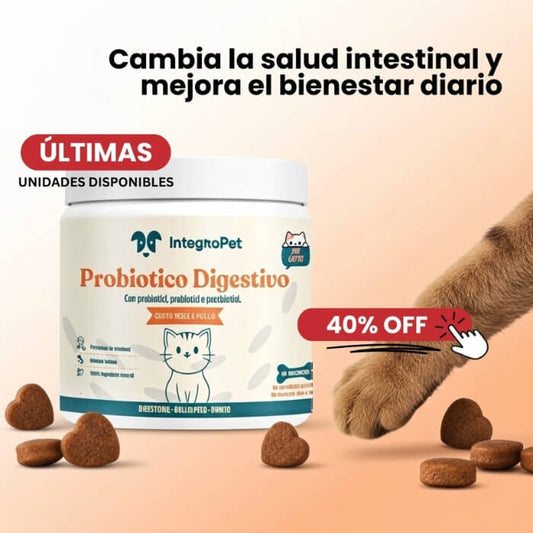 Probióticos para gatos