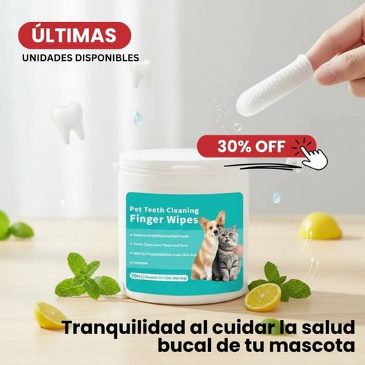 Toallitas Dentales Coldchill
