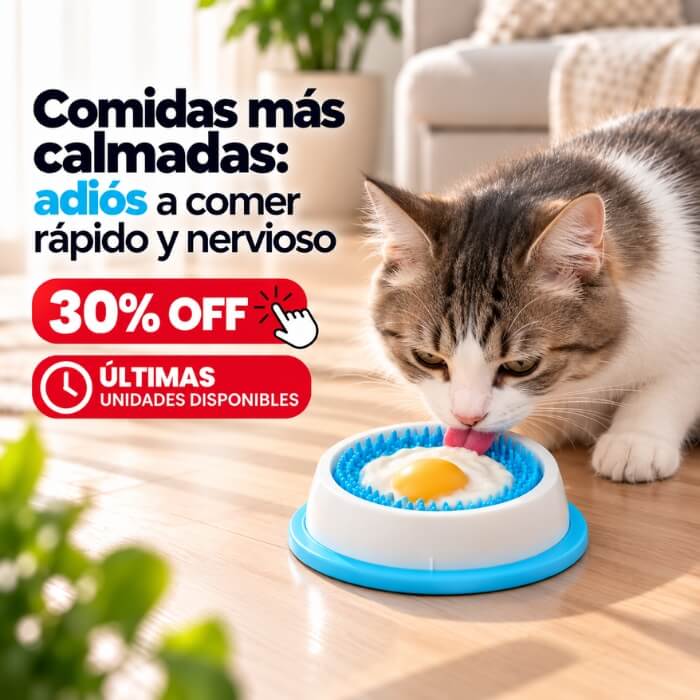 Bowl Calmante Antiestrés para Gatos