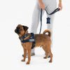 Arnés Táctico Ajustable para Perro