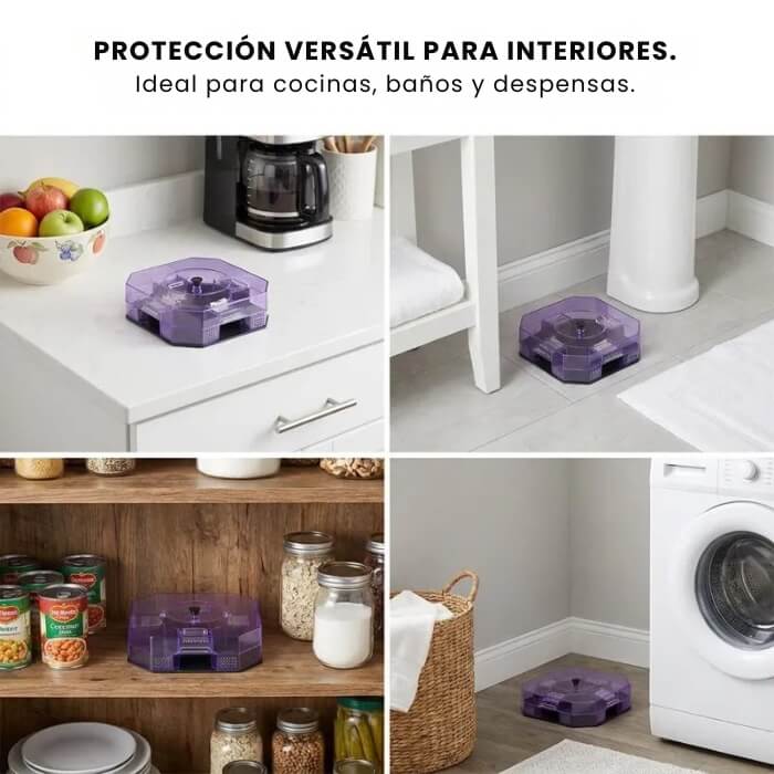 Trampa Reutilizable Para Cucarachas