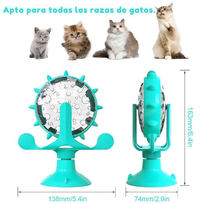 Encabezado