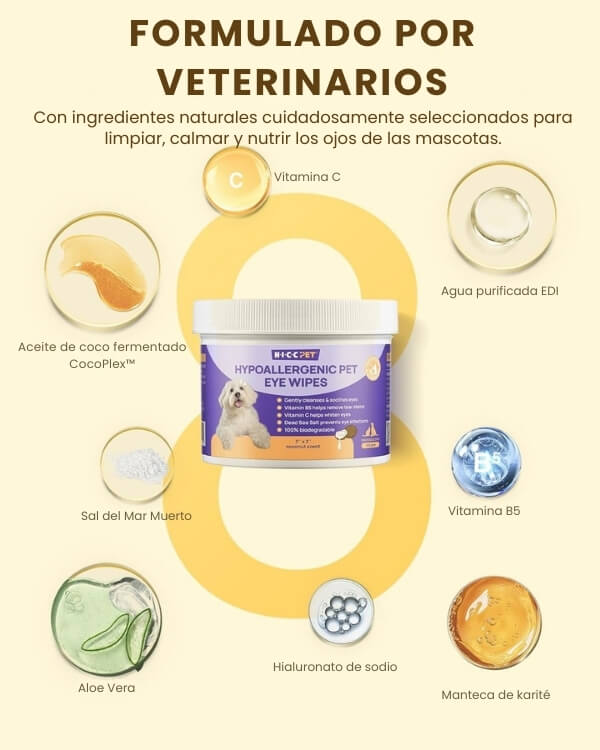 Encabezado