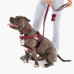 Arnés Táctico Ajustable para Perro