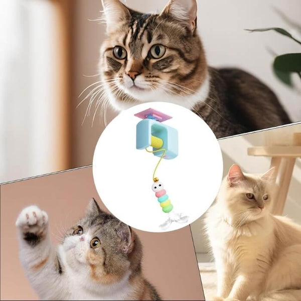 Juguete Teaser Felino Móvil
