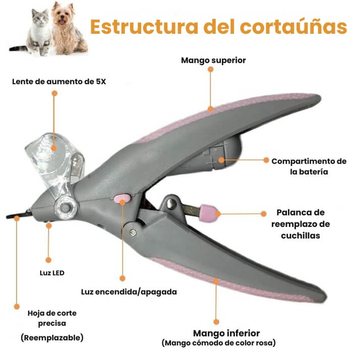 Encabezado