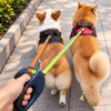 DuoWalk Pro – Correa Doble Antienredos para Perros