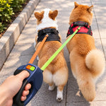 DuoWalk Pro – Correa Doble Antienredos para Perros