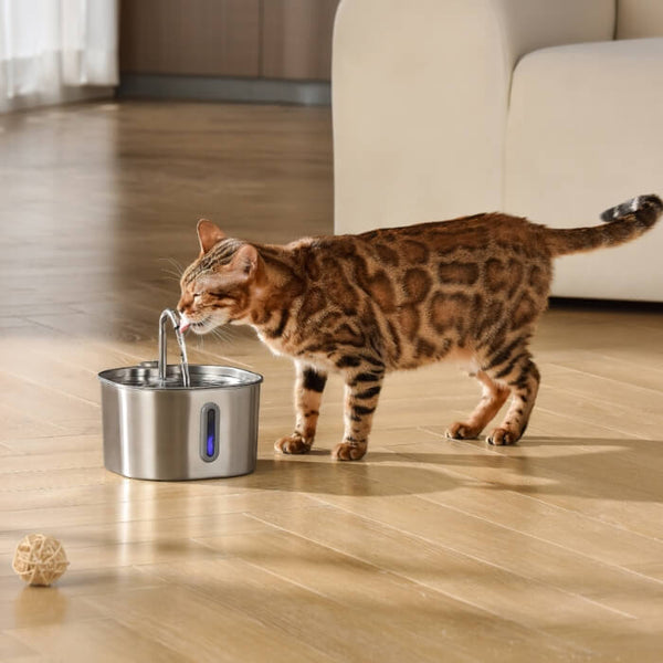Fuente KittySpout Saludable