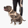 Arnés Táctico Ajustable para Perro