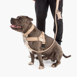 Arnés Táctico Ajustable para Perro