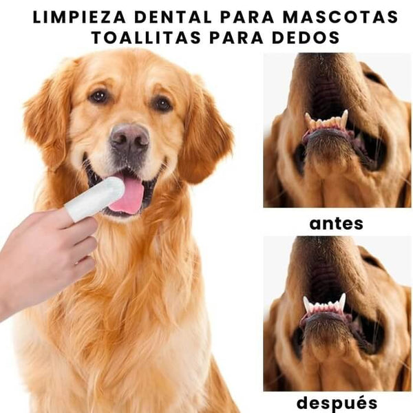 Toallitas Dentales Coldchill