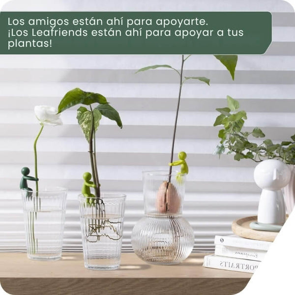 AmigoHoja soporte para plantas