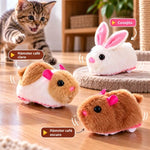 SmartBall Cat Pro– Bola Interactiva Eléctrica para Gatos con Hámster