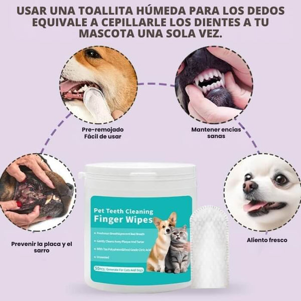 Toallitas Dentales Coldchill