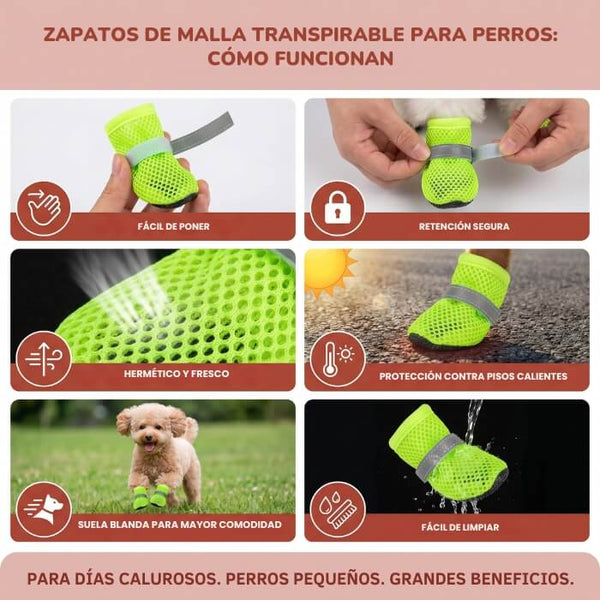 Zapatillas Mesh cómodas para perros