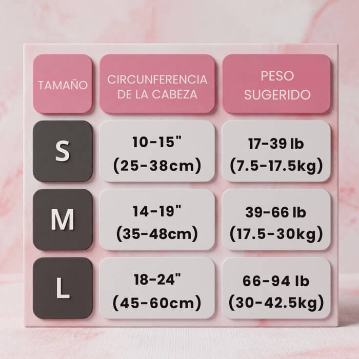 Encabezado