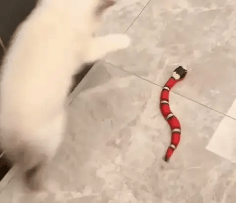 Serpiente Juguete Interactiva