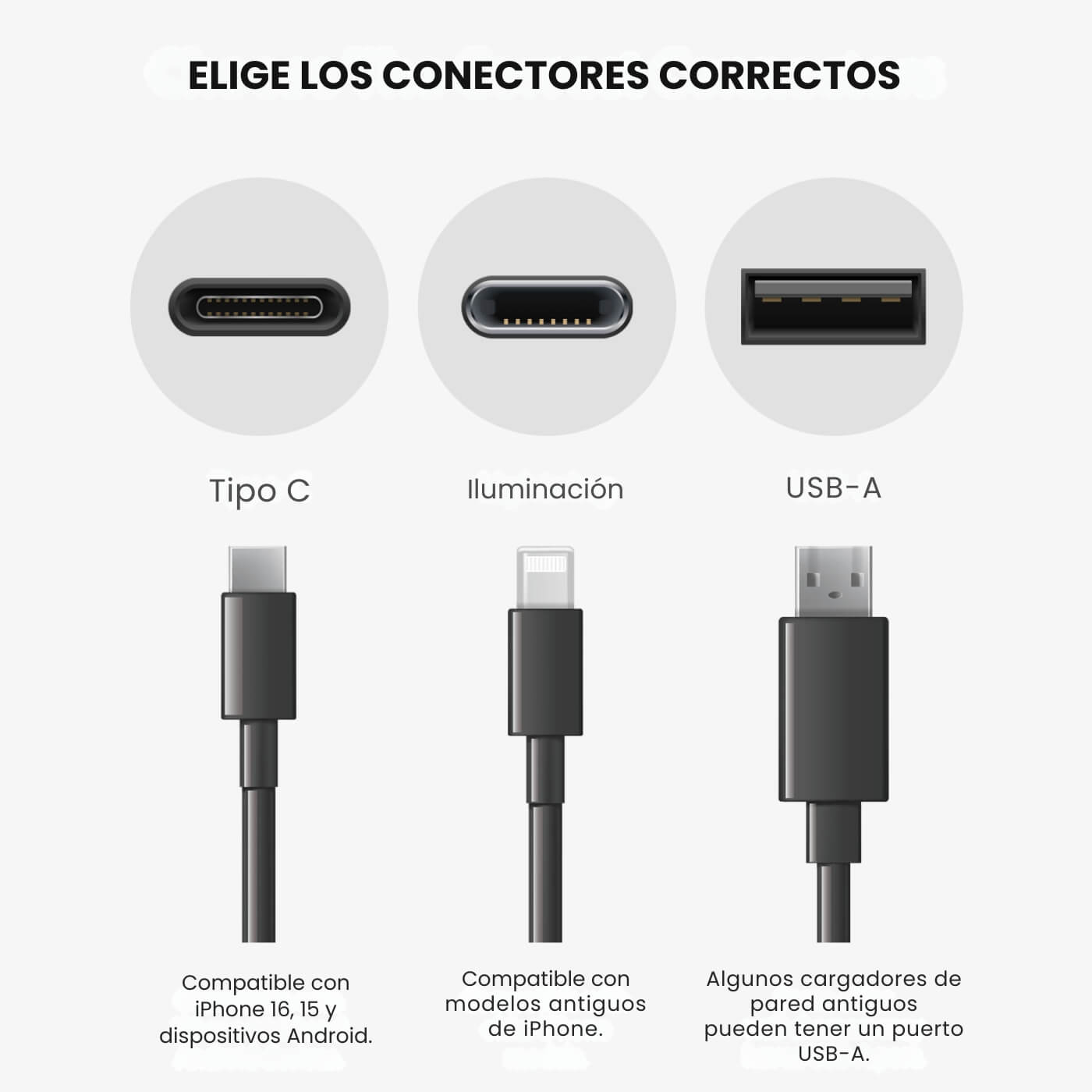 Encabezado