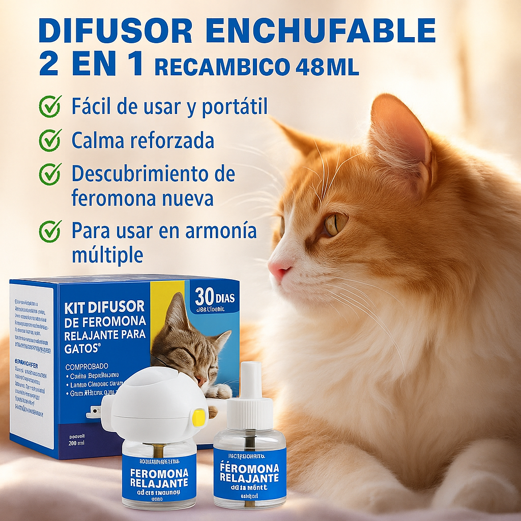 Petwellness: tranquilidad para tu peludo y tu casa