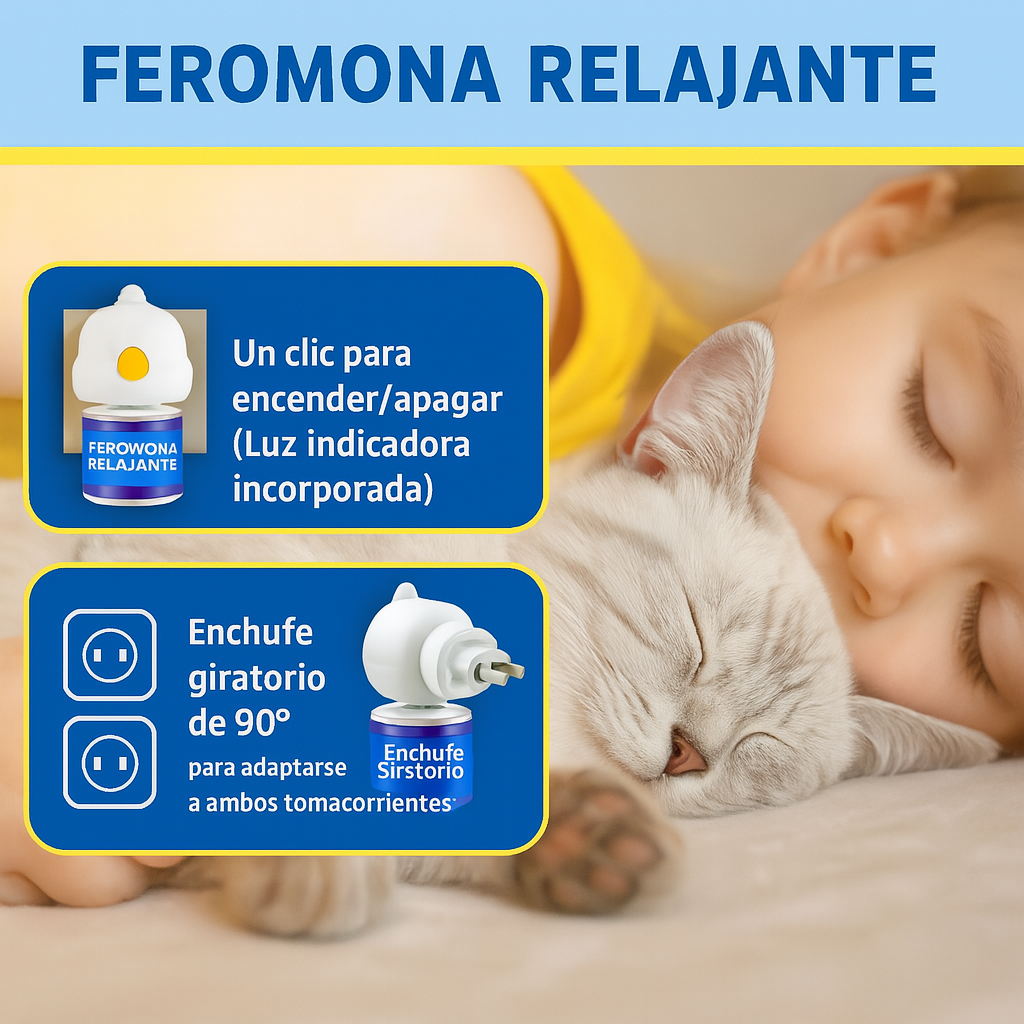 Petwellness: tranquilidad para tu peludo y tu casa