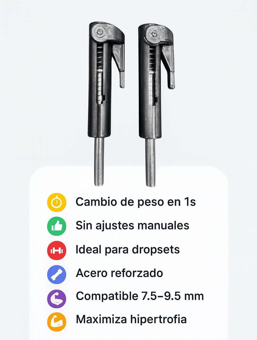 Encabezado