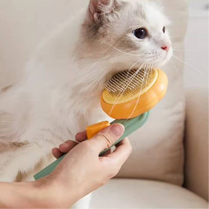 Cepillo mascota calabaza