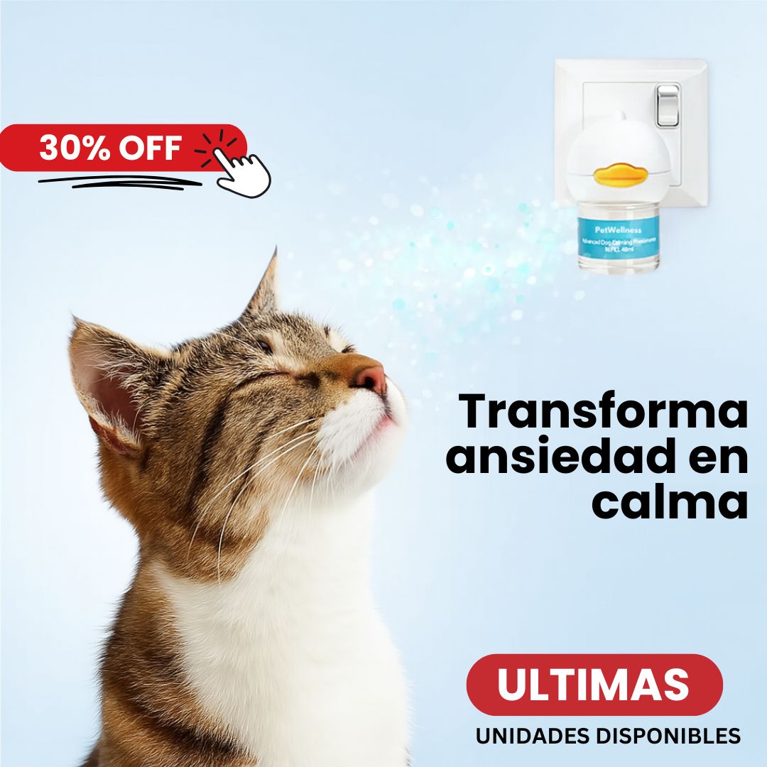Petwellness: tranquilidad para tu peludo y tu casa