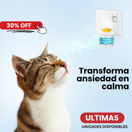 Petwellness: tranquilidad para tu peludo y tu casa