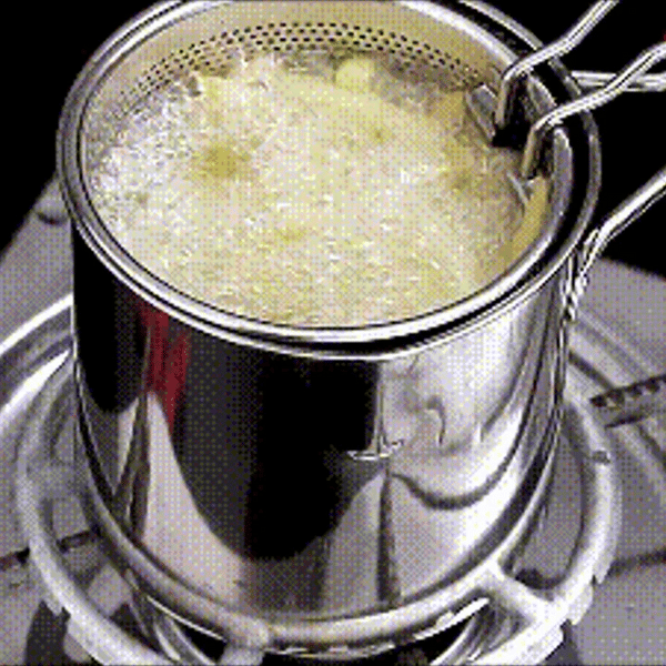 GourmetFry - Freidora de Cocina Inoxidable