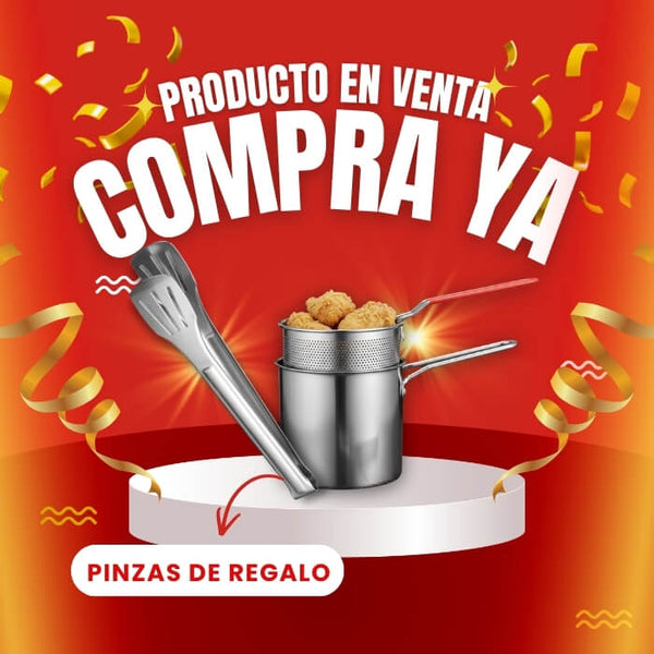GourmetFry - Freidora de Cocina Inoxidable