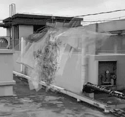 Tendedero Flexible Portátil